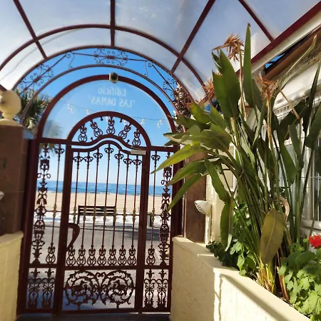 Benidorm, Damas, Primera Linea De Playa De Levante Appartement Benidorm